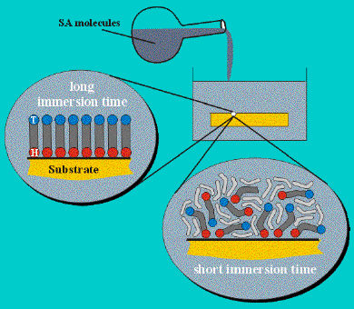 Preparation of a self-assembled monolayer