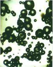 polymer ionic liquids