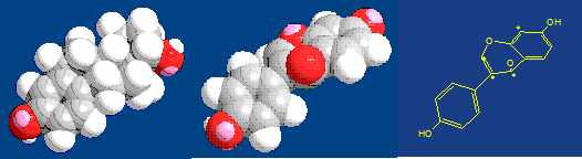 NMR of liquids and solids